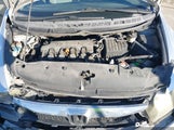 Miniaturka zdjęcia 10