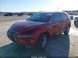 Lexus Nx 300 JTJDARBZ0M2179243 снимка