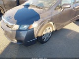 Honda Civic Lx 19XFA1F59AE073683 снимка