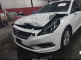 Hyundai Sonata Se 5NPE24AF3HH574312 снимка