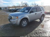 Ford Escape Xlt 1FMCU0DG3AKD27325 снимка