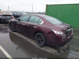 Nissan Maxima 3.5 S/3.5 Sv 1N4AA5AP0EC457865 photo