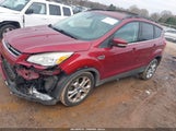 Ford Escape Sel 1FMCU0HX7DUB89792 снимка