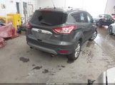 Miniaturka zdjęcia 4