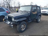 Jeep Wrangler Sahara 1J4FA59S73P334007 снимка