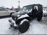Miniaturka zdjęcia 2
