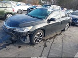 Miniaturka zdjęcia 2