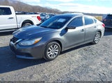 Nissan Altima 2.5/2.5 S/2.5 Sl/2.5 Sr/2.5 Sv 1N4AL3AP6GC233131 fotografie