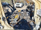 Miniaturka zdjęcia 5