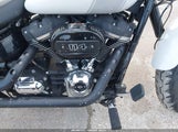 Harley-Davidson Flsb 1HD1YMJ13MB029836 снимка