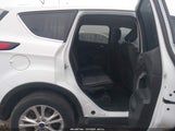 Miniaturka zdjęcia 8