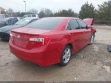 Miniaturka zdjęcia 4
