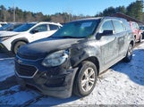 Chevrolet Equinox Ls 2GNFLEEK3G6262225 снимка