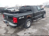 Dodge Dakota Slt 1D7HW48N65S226358 снимка