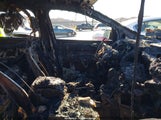 Ford Escape Se 1FMCU0GX0EUB59116 снимка
