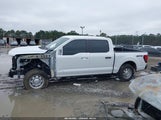 Ford F-150 Xl 1FTFW1L52SKD96686 photo