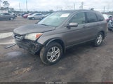 Honda Cr-V Ex-L 5J6RE3H71BL053314 снимка