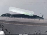 Miniaturka zdjęcia 9
