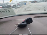 Miniaturka zdjęcia 11