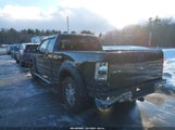Ford F-150 Fx4/Lariat/Xl/Xlt 1FTPX14546FA15032 fotografie