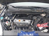 Honda Cr-V Ex-L 5J6RE4H74AL075036 fotografie