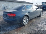 Miniaturka zdjęcia 4