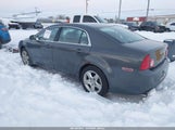 Chevrolet Malibu Ls 1G1ZG57B69F142492 снимка