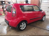 Miniaturka zdjęcia 4