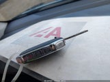 Miniaturka zdjęcia 11