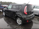 Miniaturka zdjęcia 3