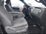Miniaturka zdjęcia 5