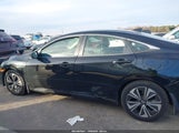 Honda Civic Ex-L JHMFC1F73JX024599 снимка