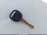 Miniaturka zdjęcia 11