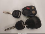 Miniaturka zdjęcia 11