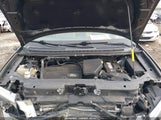 Miniaturka zdjęcia 10