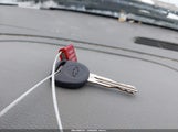 Miniaturka zdjęcia 11