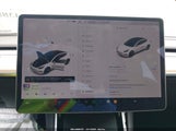 Miniaturka zdjęcia 7