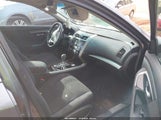 Miniaturka zdjęcia 5