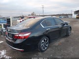 Honda Accord Ex-L V6 1HGCR3F86HA012999 fotografie