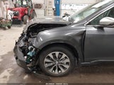 Miniaturka zdjęcia 6