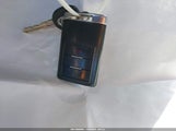Miniaturka zdjęcia 11
