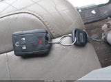 Miniaturka zdjęcia 11