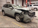 Toyota Rav4 Xle JTMP1RFV8KD501104 снимка