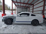 Ford Shelby Gt500 1ZVBP8JZ9E5260646 fotografie