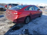 Hyundai Sonata Se 5NPE24AF9GH430018 снимка