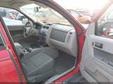 Ford Escape Xlt 1FMCU93G49KA57698 снимка