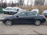 Honda Accord 2.4 Ex-L 1HGCP26818A009119 photo
