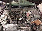 Ford Fusion Sel 3FAHP0JA9BR254529 снимка