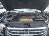 Ford F-150 Xlt 1FTEW1EP9FFC31663 снимка