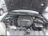 Miniaturka zdjęcia 10